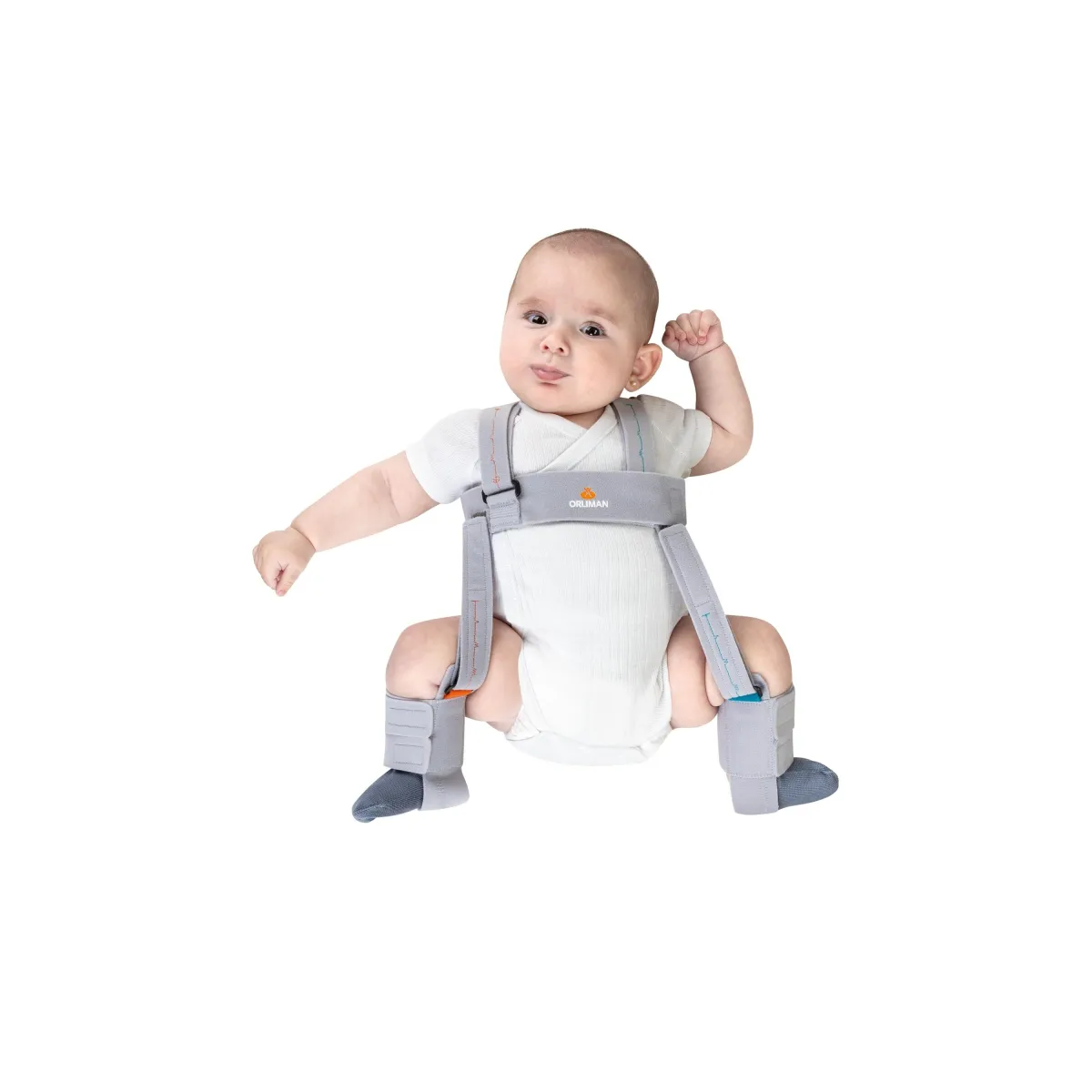 PAVLIK HARNESS. DISROT by Orliman