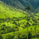 Colombia Honeymoon Trip