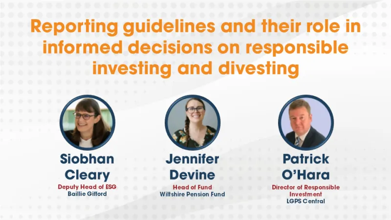 Reporting guidelines and their role in informed decisions on responsible investing and divesting