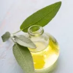 Cognivia : The Vegetal Nootropic