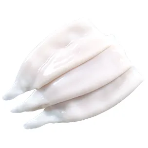 Squid/Calamari Product Line