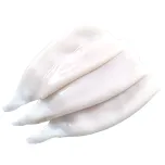 Squid/Calamari Product Line