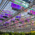 Voltiris - les premiers modules solaires compatibles avec les serres verres