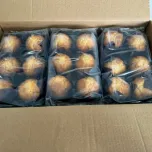 Frozen Food (Bakery)