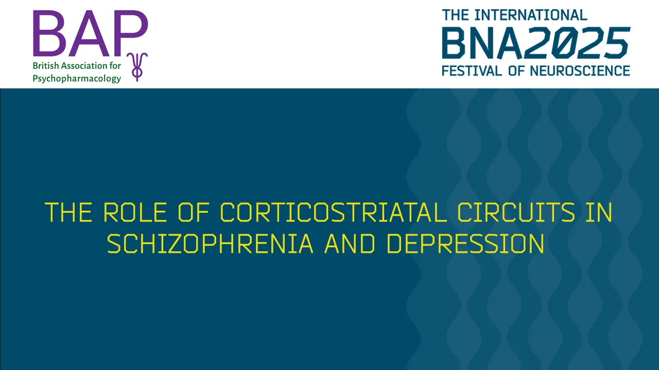 S13: The role of corticostriatal circuits in schizophrenia and depression