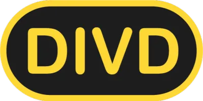 DIVD (Dutch Institute for Vulnerability Disclosure)