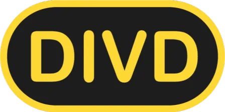 DIVD (Dutch Institute for Vulnerability Disclosure)