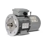 MOTORES E MOTOFREIOS ELÉTRICOS TRIFÁSICOS MT25 IR3