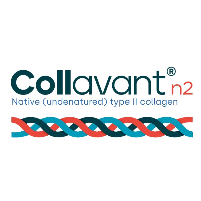 Collavant n2