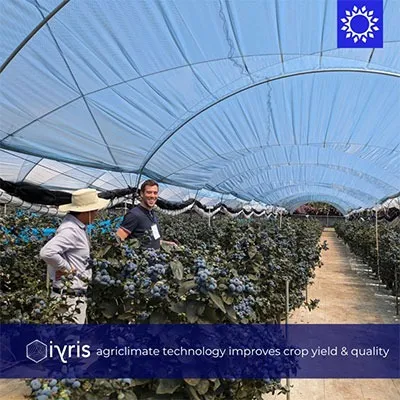 Film Oasis® SecondSky®