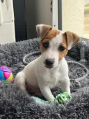 SARAH SEJOURNE SAUVAGET