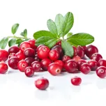 Cran-Max Cranberry Concentrate