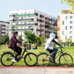 Vienna’s Sustainable City Within a City