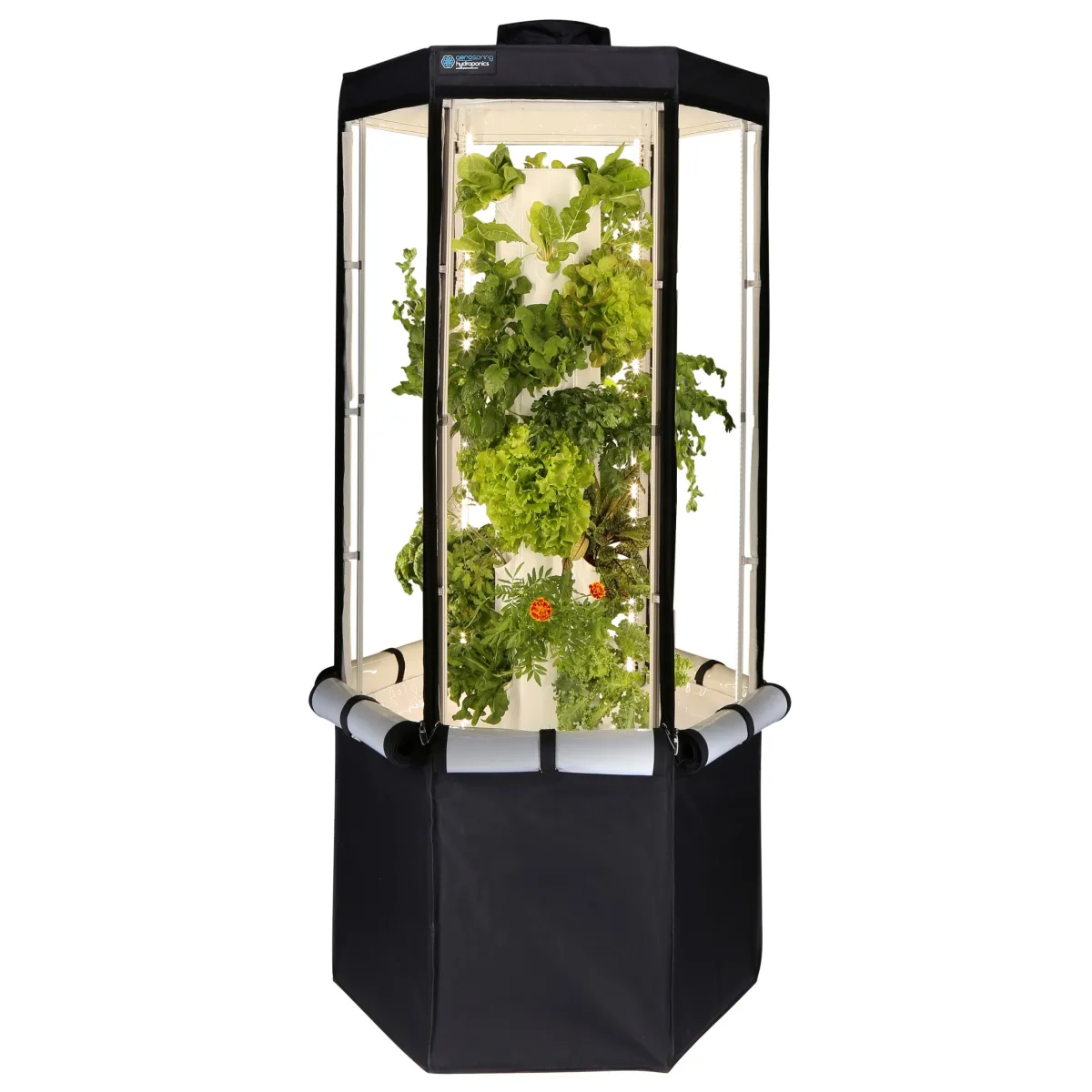 Aerospring Indoor System