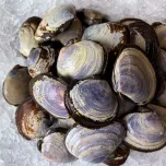 Hardshell, Steamers, Manila's, and more!