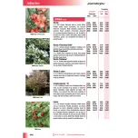 CATALOGUE PLANDANJOU 23/25