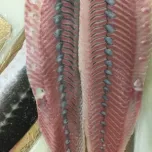 ST700 TV - Tabletop (Deep) Skinner