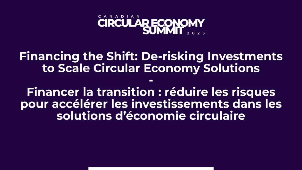 Financing the Shift: De-risking Investments to Scale Circular Economy Solutions