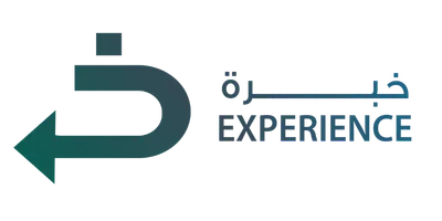 Experience for dept collection finance