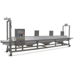 Frying production line