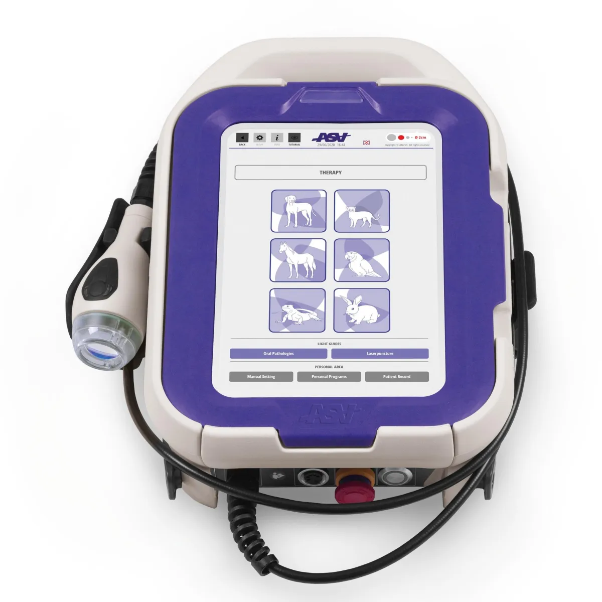 M-Vet Laser Therapy