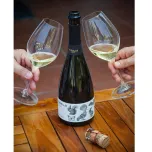 TORELLO FINCA CAN MARTÍ 2019 BRUT