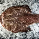 Monkfish