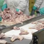 Esteiras Modulares e Correntes Plásticas ou Metálicas