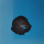 4. Nanoestrutas de carbono (nanotubos, grafeno e óxido de grafeno) em solução, pó e masterbatches