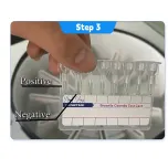 Brucella Diagnosis for Animals/Livestock