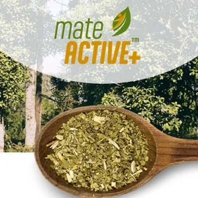 MateActive+