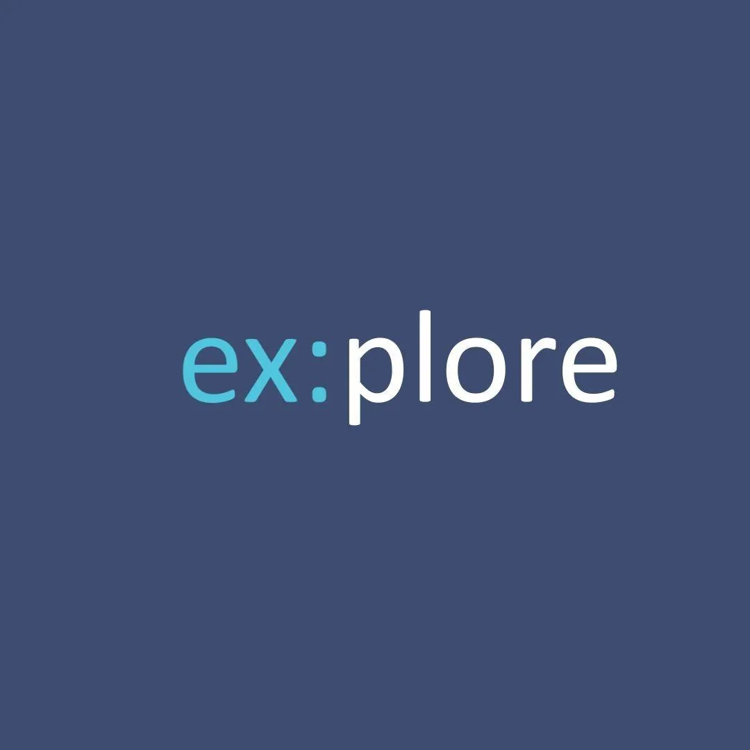 Audit Software ex:plore