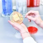 Non-sterile Product Testing