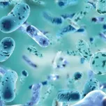 providence™ – postbiotics