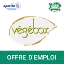 ACHETEUR DE PLANTES NORD EUROPE F/H