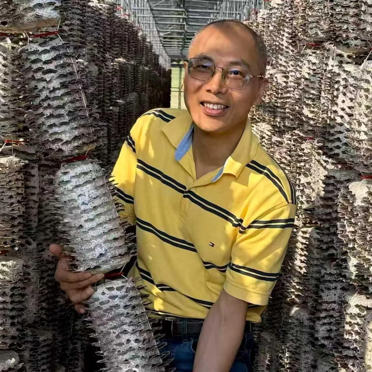 From Forest to Farm: Why Cultivated Turkey Tail Matters