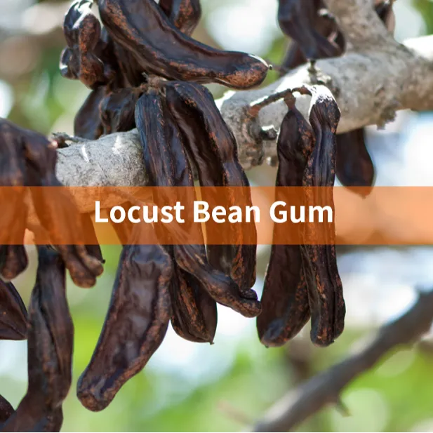 Locust bean gum