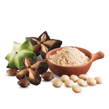 Sacha Inchi Powder