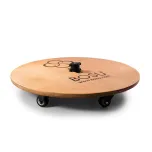 CorLok® Balance Training System