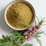 Motherwort Extract