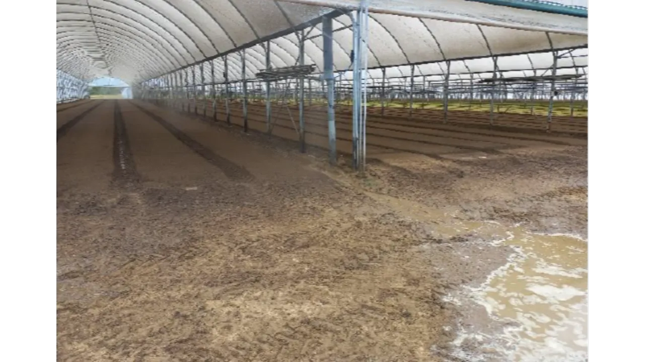 Comment améliorer la rétention en eau de mon sol ?