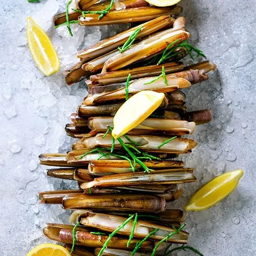 Razors, Clams, Cockles, Vongole etc.