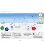 TAIFUN - Vacuum Conveying Solutions for Seafood Processing