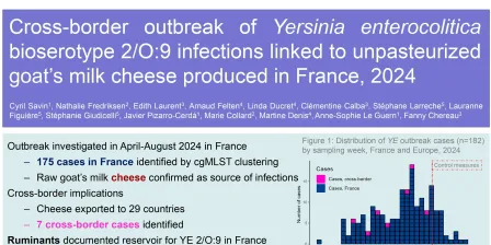 20g - Cross-border outbreak of Yersinia enterocolitica bioserotype 2/O:9 infections linked to unpasteurized goat milk cheese produced in France, 2024