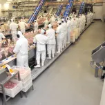 Multilayers/Multicamadas (SOLEDUR UT)