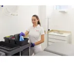 Vileda Professional cloths