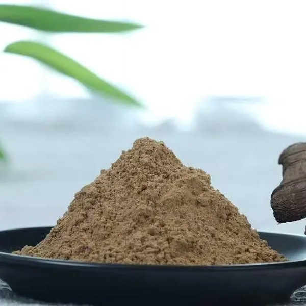 Organic Maitake powder (Maitake extract powder 1:1)