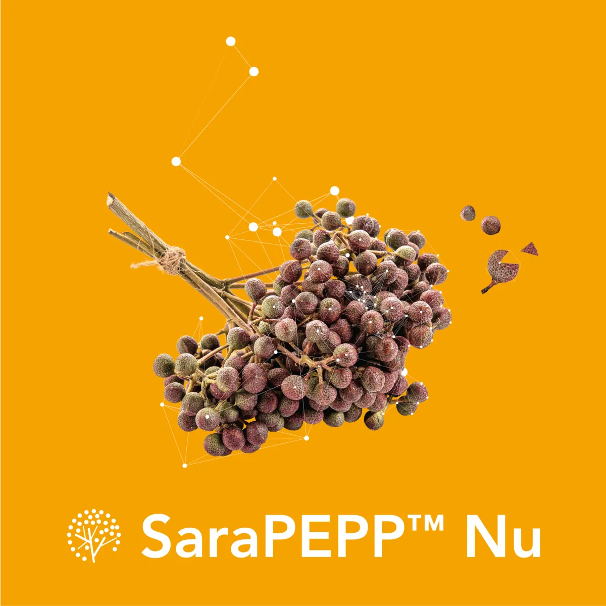 SaraPEPP™ Nu
