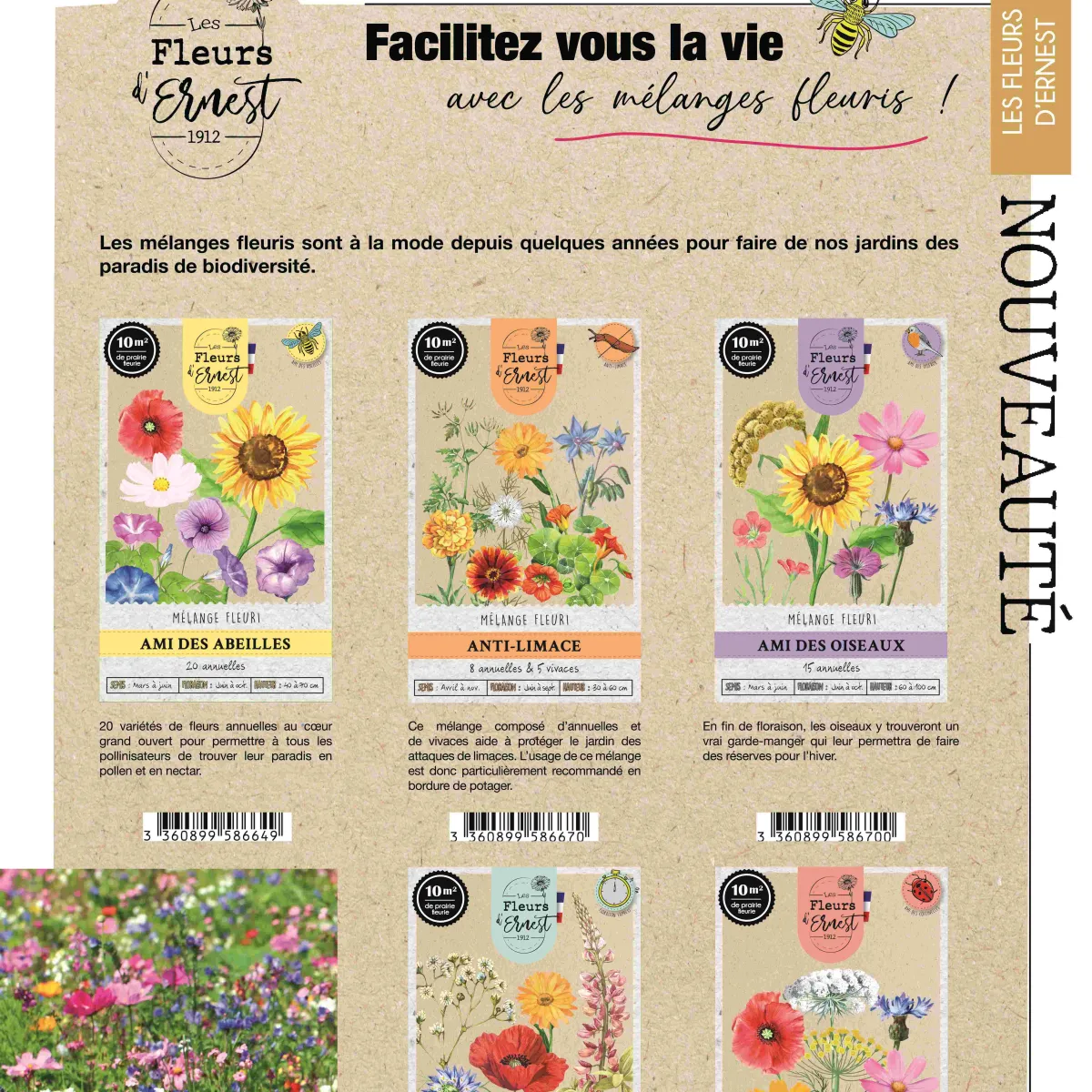LES FLEURS D'ERNEST