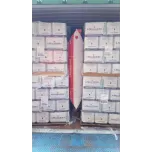 Dunnage Bags for Load Stabilization